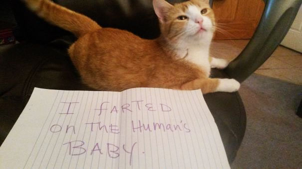 I Farted On The Human's Baby