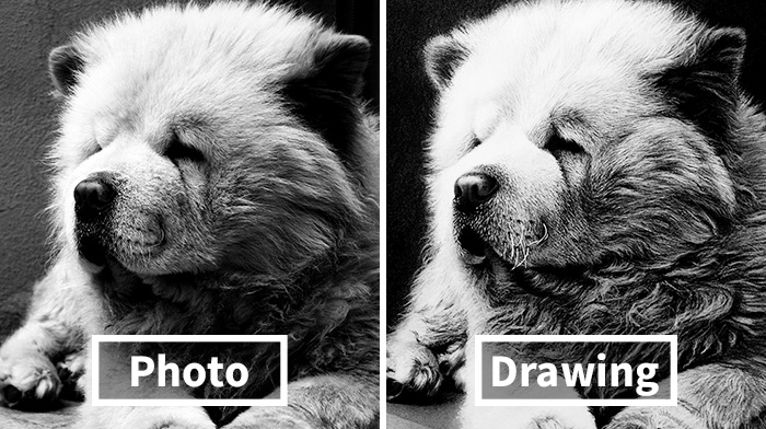 I Spent 10 Hours To Draw This Cuteness