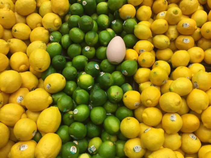 I Found A Wooden Egg And I Take Pictures Of It In Different Places