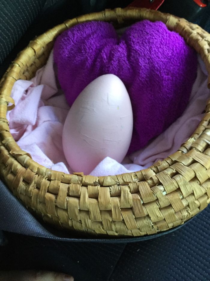 I Found A Wooden Egg And I Take Pictures Of It In Different Places