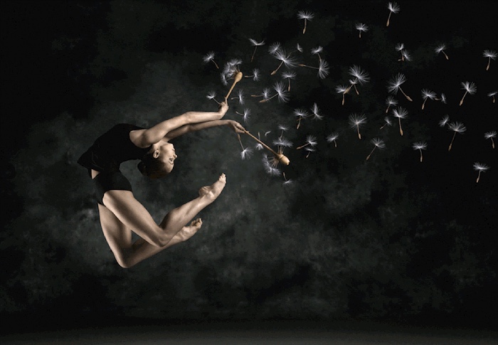 Amazing Animated Gifs