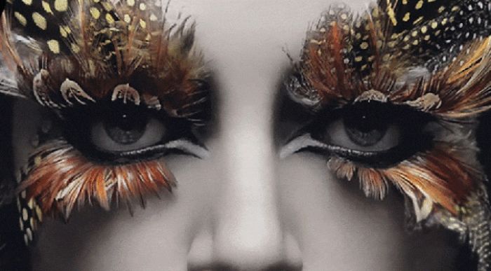 Amazing Animated Gifs