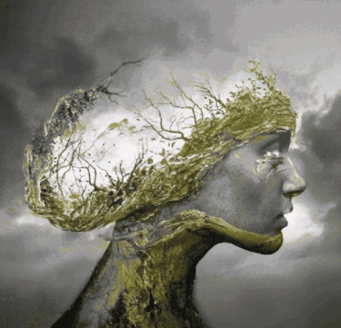 Amazing Animated Gifs