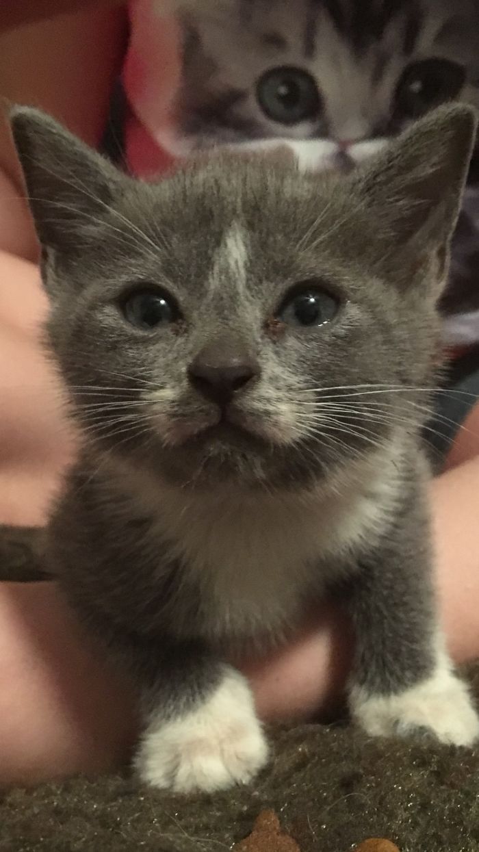 Grady's Baby Pictures