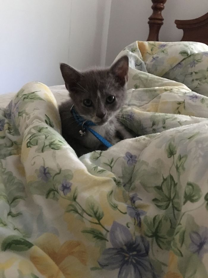 Grady's Baby Pictures