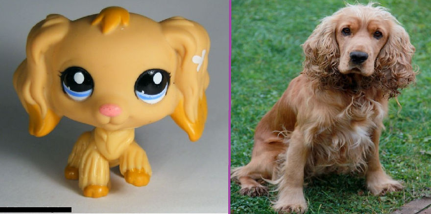 I Made Few Pictures Of Lps "In Real Life" Here They Are: