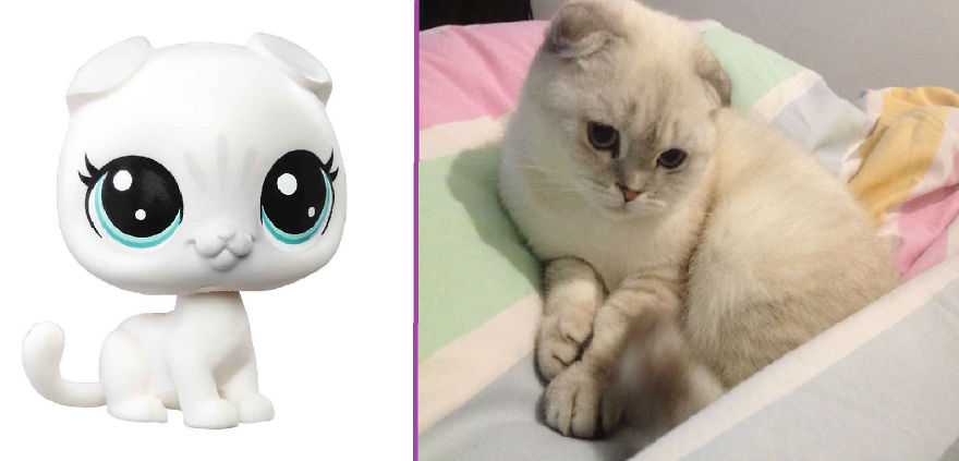 I Made Few Pictures Of Lps "In Real Life" Here They Are: