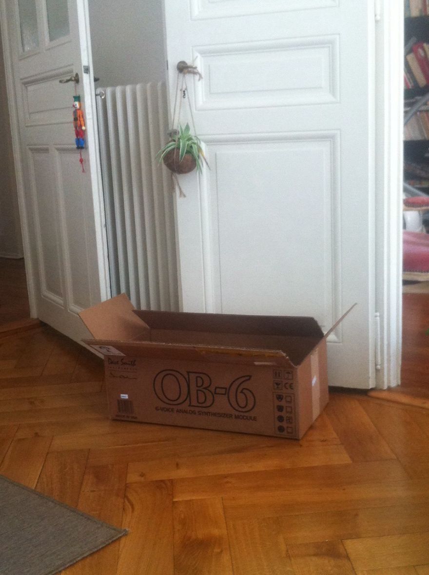 What's In The Box ??
