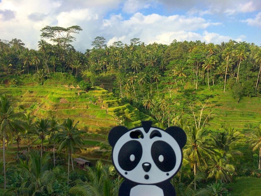 I Bring My Panda Iphone Cover Everywhere I Go On Holiday I Bring My Panda Iphone Cover Everywhere I Go On Holiday