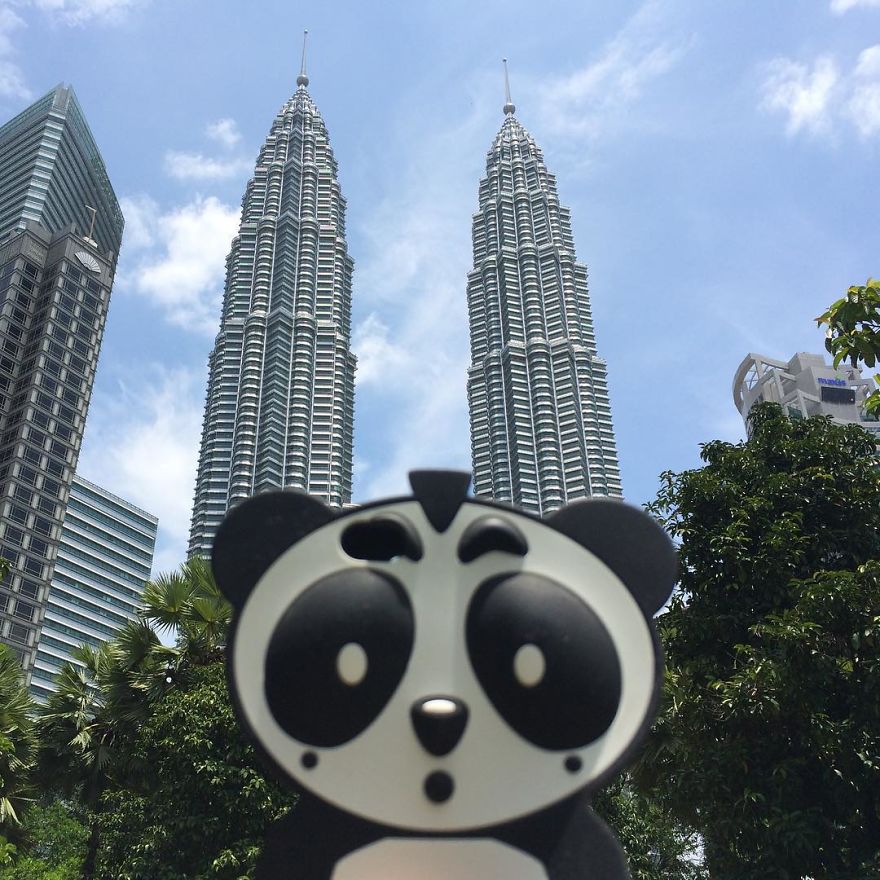 I Bring My Panda Iphone Cover Everywhere I Go On Holiday I Bring My Panda Iphone Cover Everywhere I Go On Holiday