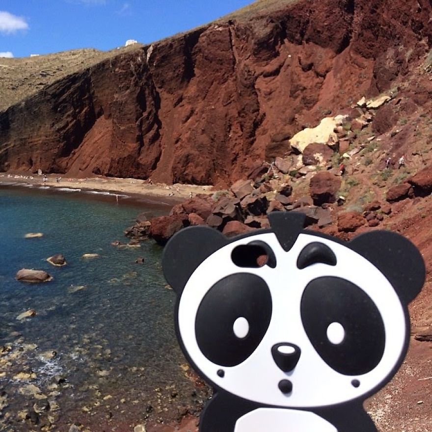 I Bring My Panda Iphone Cover Everywhere I Go On Holiday I Bring My Panda Iphone Cover Everywhere I Go On Holiday