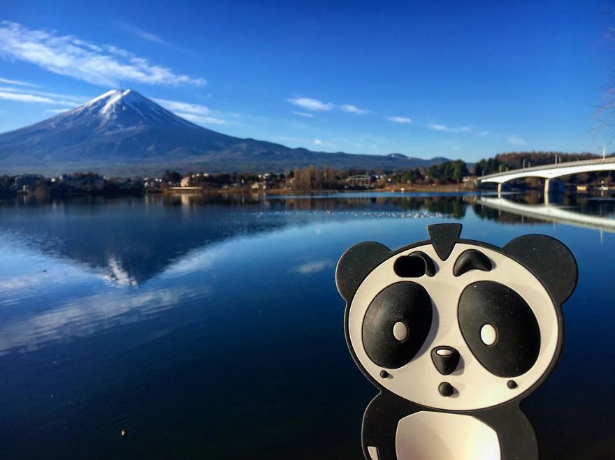 I Bring My Panda Iphone Cover Everywhere I Go On Holiday I Bring My Panda Iphone Cover Everywhere I Go On Holiday