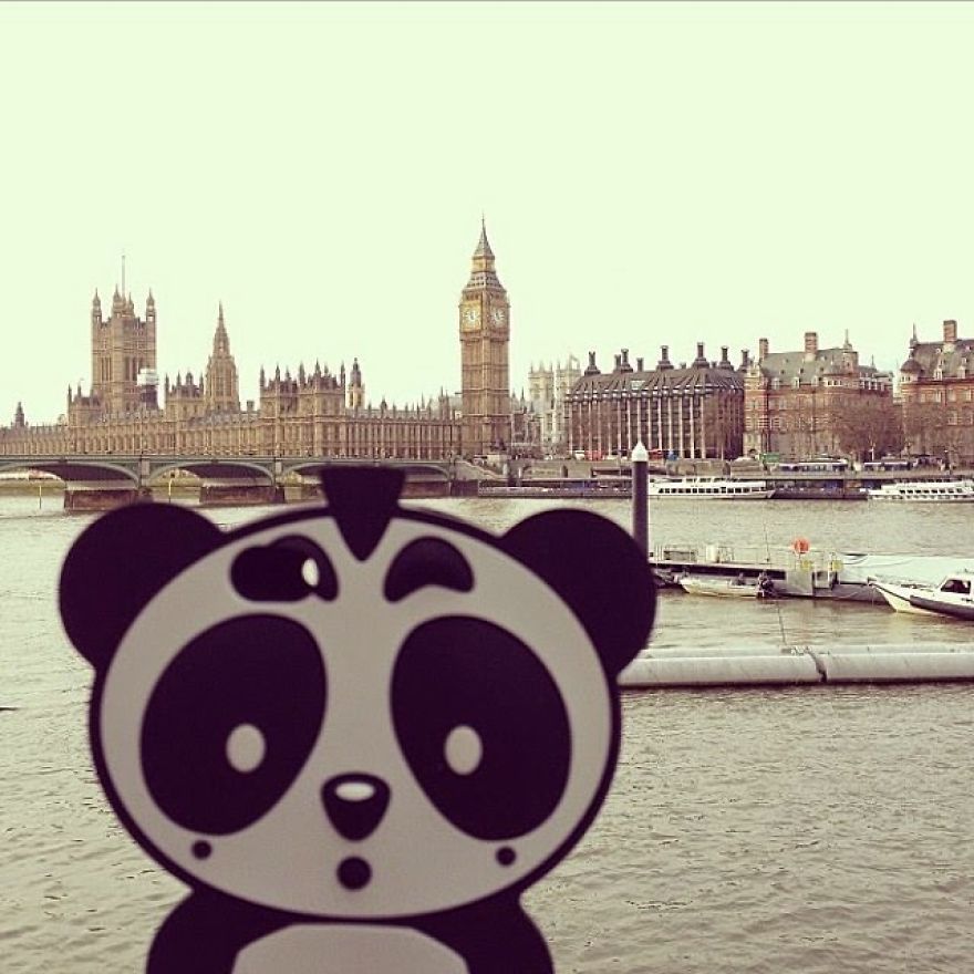 I Bring My Panda Iphone Cover Everywhere I Go On Holiday I Bring My Panda Iphone Cover Everywhere I Go On Holiday