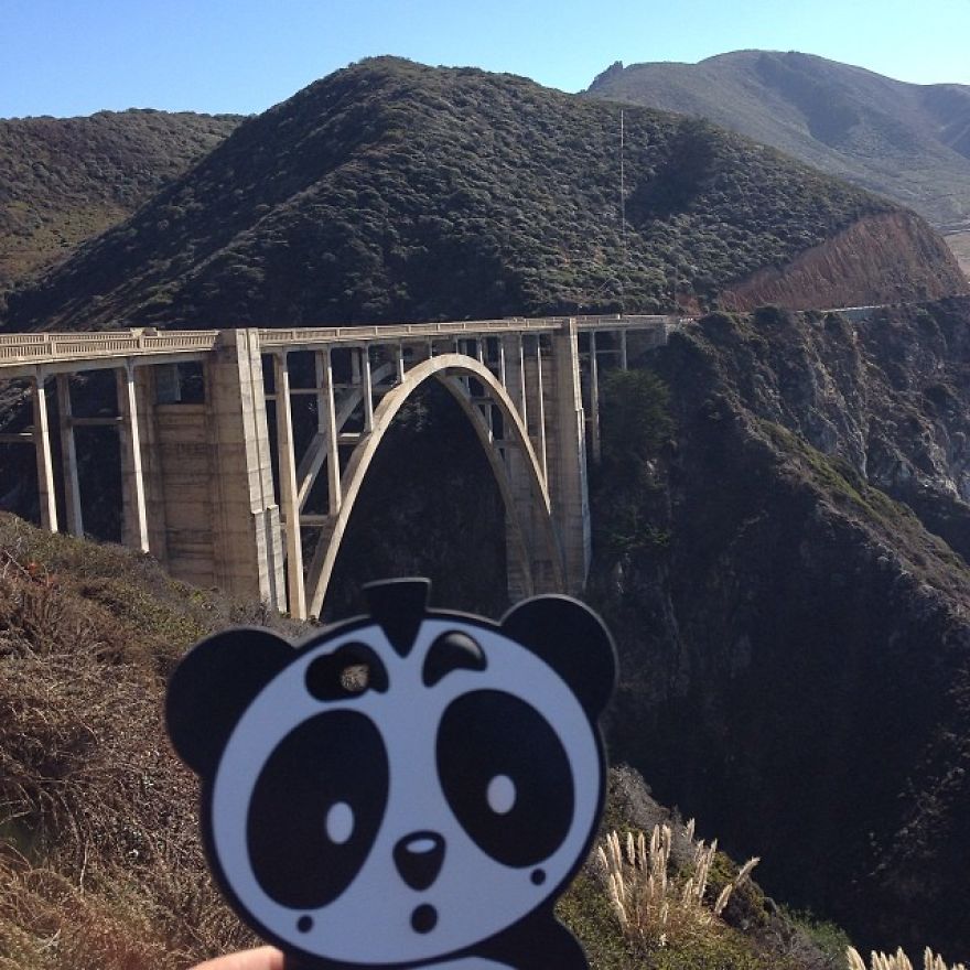 I Bring My Panda Iphone Cover Everywhere I Go On Holiday I Bring My Panda Iphone Cover Everywhere I Go On Holiday