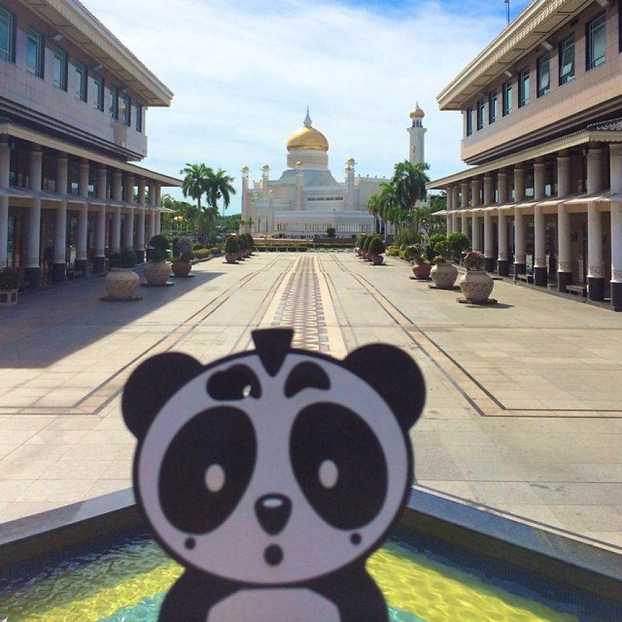 I Bring My Panda Iphone Cover Everywhere I Go On Holiday I Bring My Panda Iphone Cover Everywhere I Go On Holiday