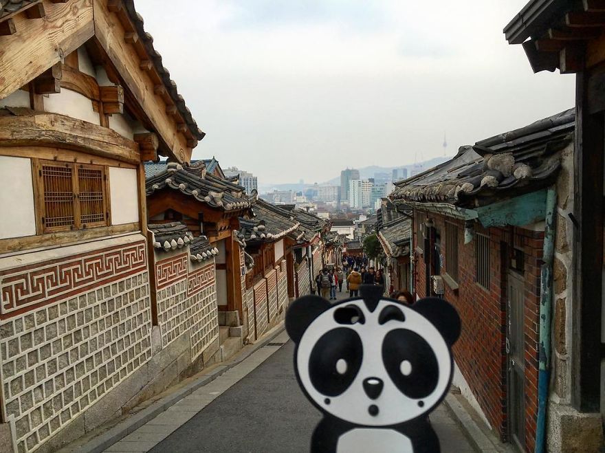 I Bring My Panda Iphone Cover Everywhere I Go On Holiday I Bring My Panda Iphone Cover Everywhere I Go On Holiday