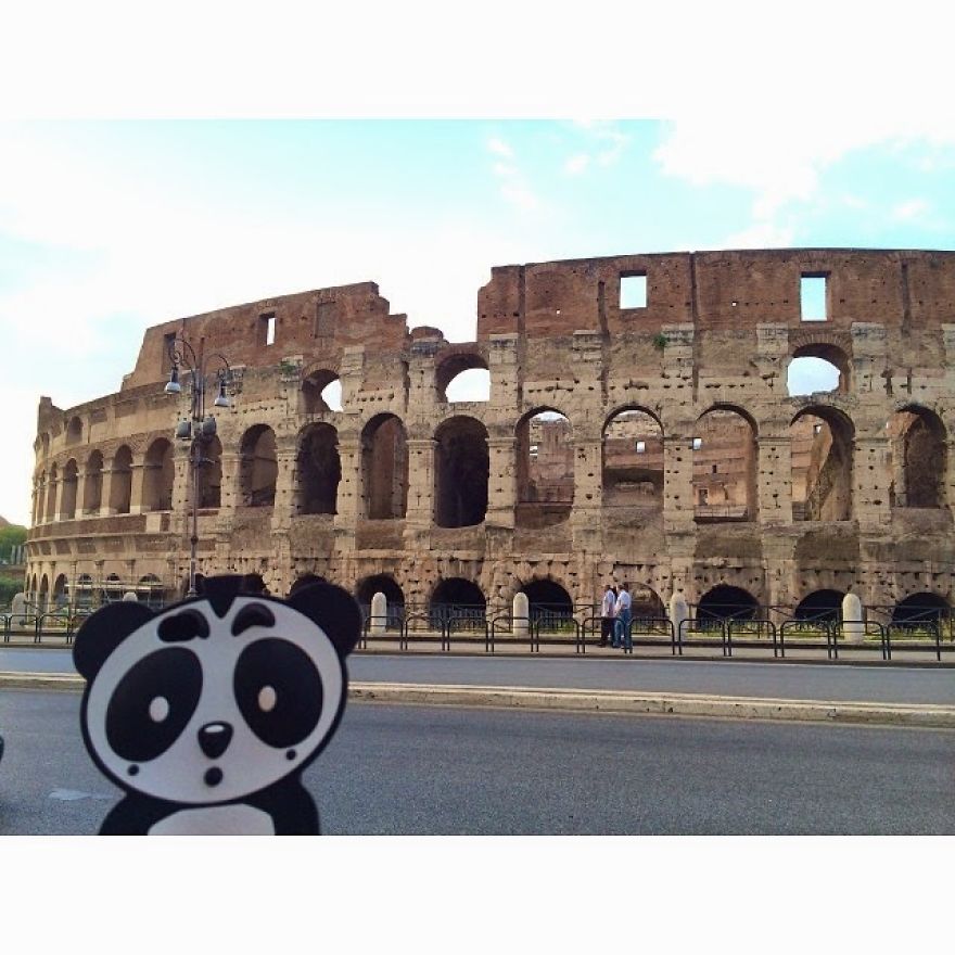 I Bring My Panda Iphone Cover Everywhere I Go On Holiday I Bring My Panda Iphone Cover Everywhere I Go On Holiday