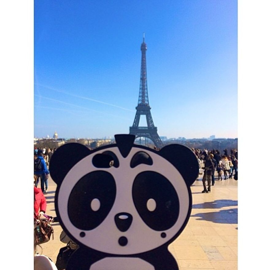I Bring My Panda Iphone Cover Everywhere I Go On Holiday I Bring My Panda Iphone Cover Everywhere I Go On Holiday