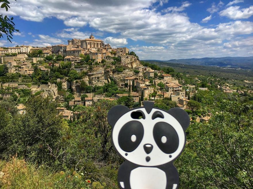 I Bring My Panda Iphone Cover Everywhere I Go On Holiday I Bring My Panda Iphone Cover Everywhere I Go On Holiday