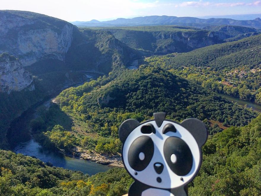 I Bring My Panda Iphone Cover Everywhere I Go On Holiday I Bring My Panda Iphone Cover Everywhere I Go On Holiday