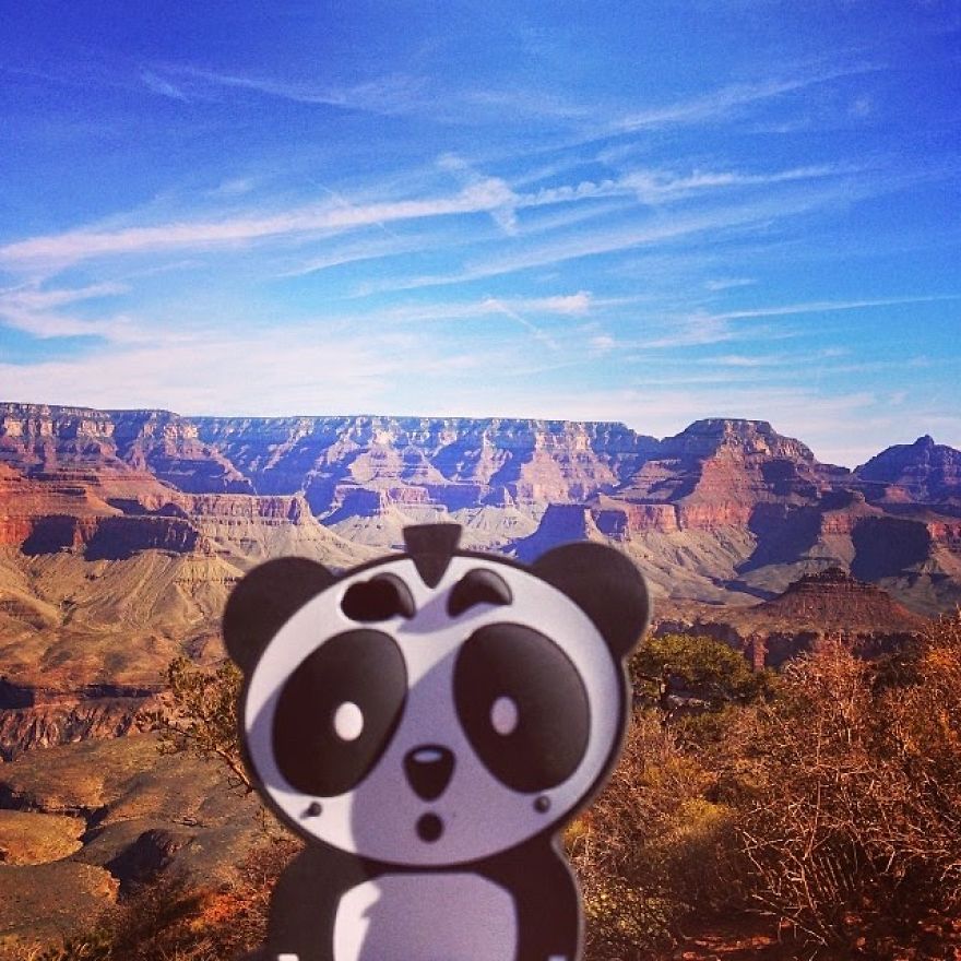 I Bring My Panda Iphone Cover Everywhere I Go On Holiday I Bring My Panda Iphone Cover Everywhere I Go On Holiday