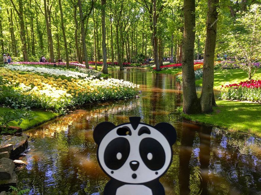 I Bring My Panda Iphone Cover Everywhere I Go On Holiday I Bring My Panda Iphone Cover Everywhere I Go On Holiday