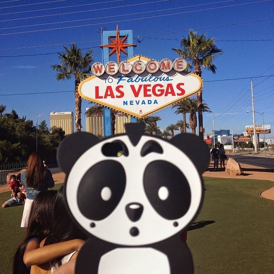 I Bring My Panda Iphone Cover Everywhere I Go On Holiday I Bring My Panda Iphone Cover Everywhere I Go On Holiday