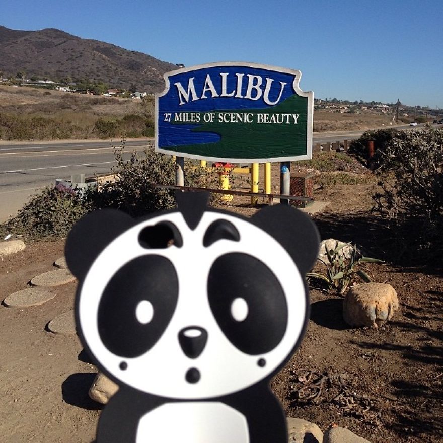 I Bring My Panda Iphone Cover Everywhere I Go On Holiday I Bring My Panda Iphone Cover Everywhere I Go On Holiday