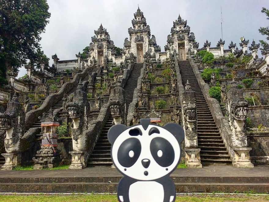 I Bring My Panda Iphone Cover Everywhere I Go On Holiday I Bring My Panda Iphone Cover Everywhere I Go On Holiday