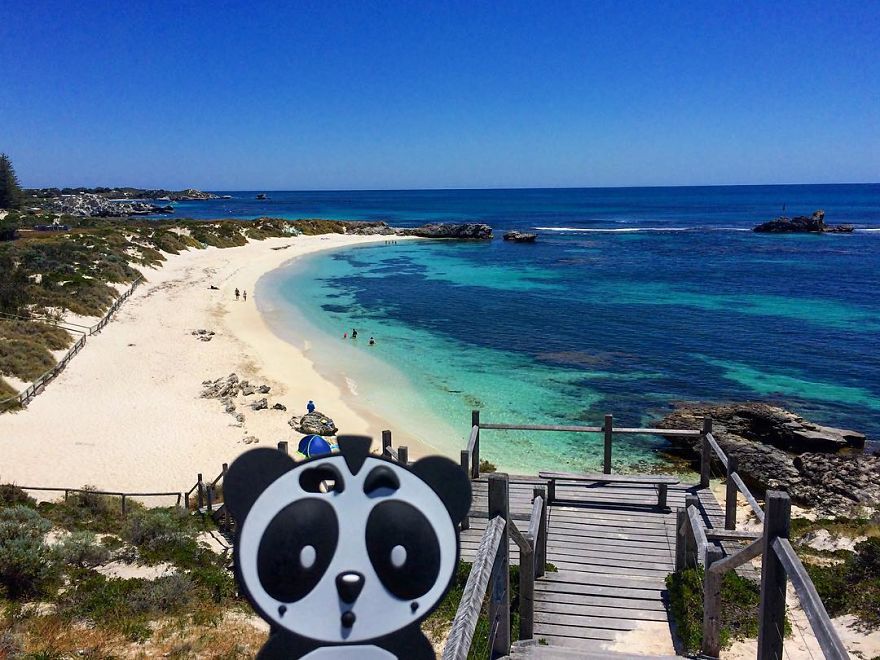 I Bring My Panda Iphone Cover Everywhere I Go On Holiday I Bring My Panda Iphone Cover Everywhere I Go On Holiday