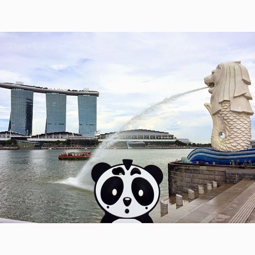 I Bring My Panda Iphone Cover Everywhere I Go On Holiday I Bring My Panda Iphone Cover Everywhere I Go On Holiday