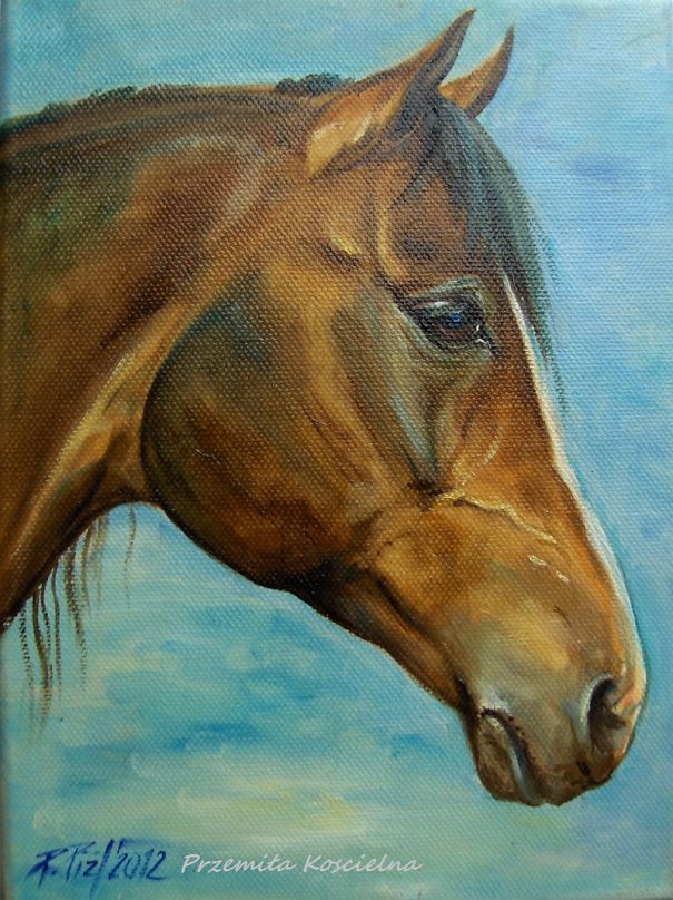 My Equestrian Art