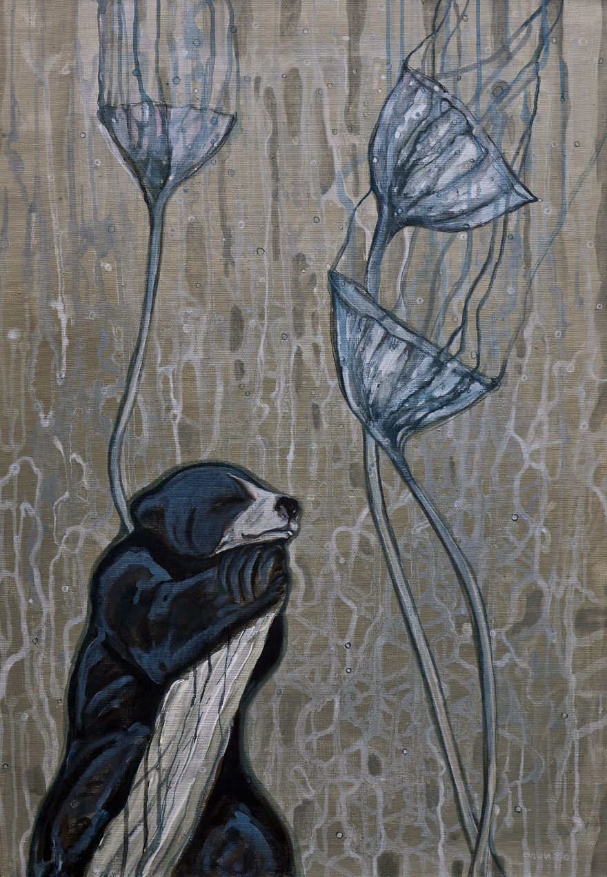 Fairy-Tale Like Scenes Featuring Wild Animals
