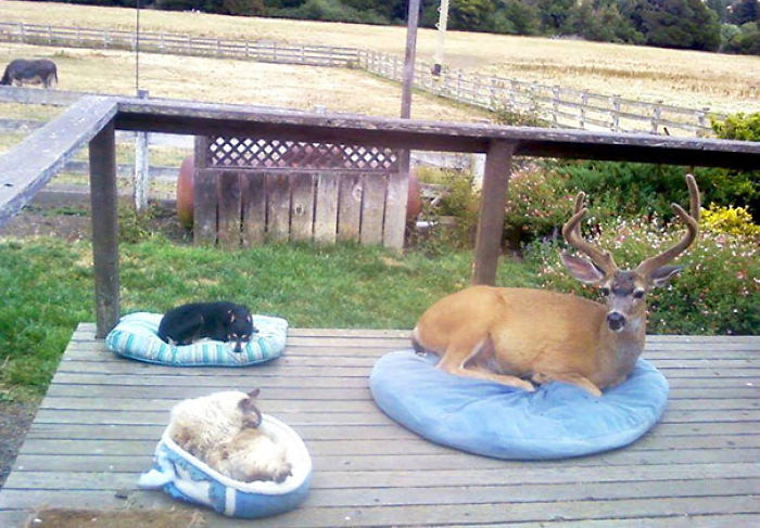 One Of These Things Is Not Like The Other