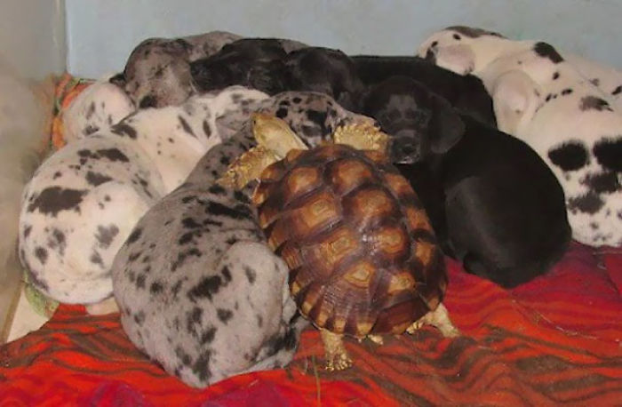 One Of These Things Is Not Like The Others