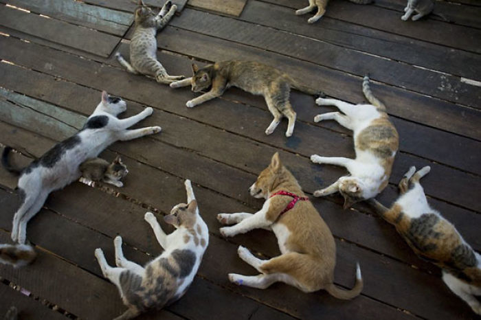 Day 7: They Still Haven't Noticed