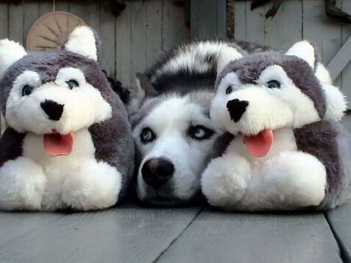 One Is Not Like The Others