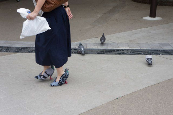 pigeon-shoes-japanese-woman-1