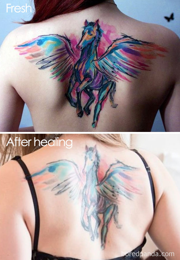 Back Tattoo After Healing