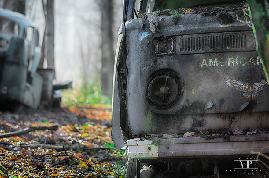 I Photographed Old Cars Lost In The Woods