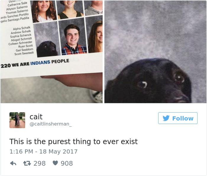 School Includes Teen's Dog In Yearbook, And That's No Accident