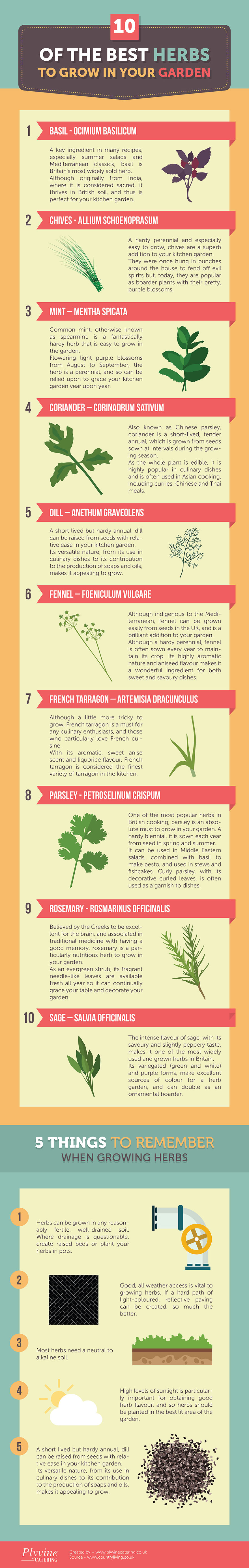 herbs, Cooking, Gardening, Infographic.