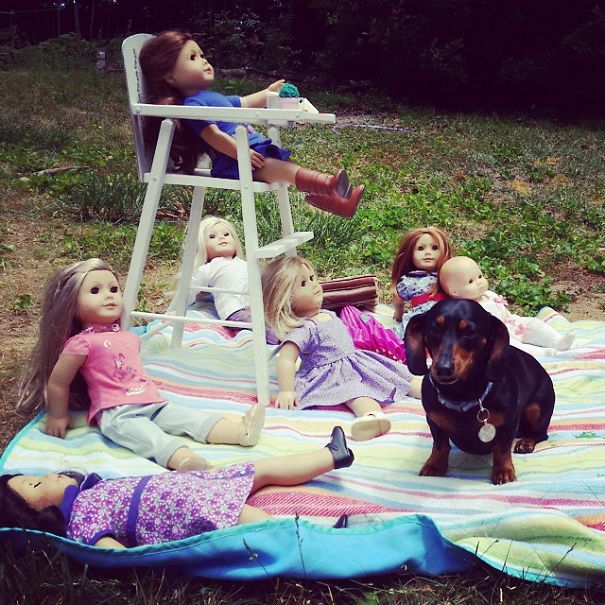 Daughter Was Having A Doll Picnic And Dog Felt Left Out...
