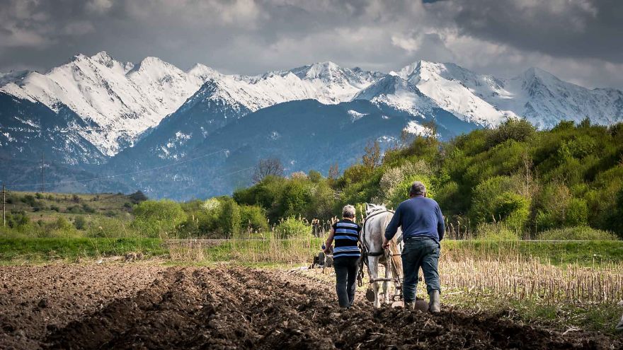 14 Aspects Of Rural Life In Romania That Will Fascinate You