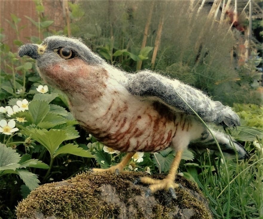 Needle Felted Life Size Sparrow Hawk Handmade By Moonbrush Wood Studios