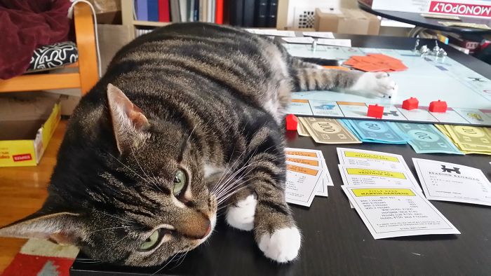 I Have Never Had A Game Of Monopoly Take So Long . . .