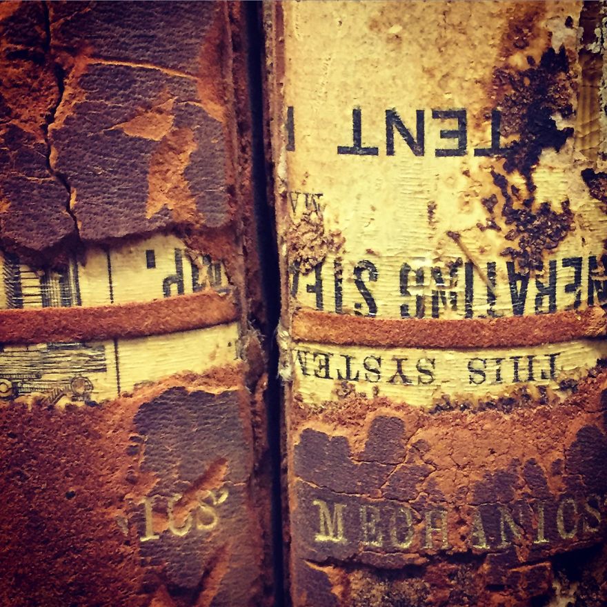I Photographed Old Journals When I Worked In A Science Library