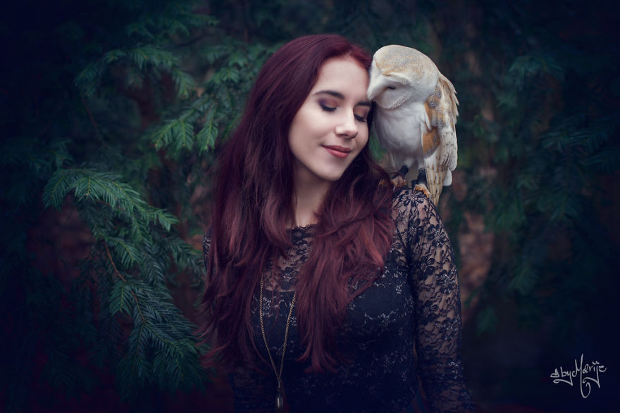 A Owl Sitting On Shoulder