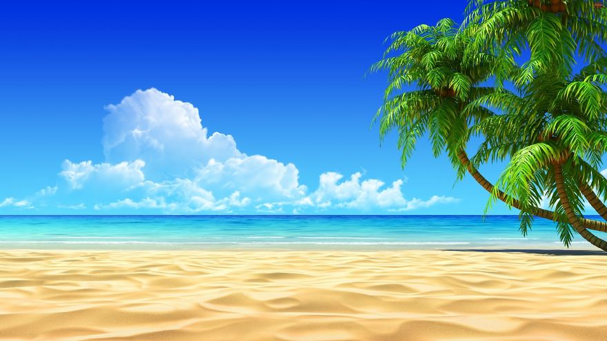 Wonderful Nature