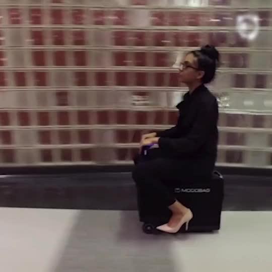 Luggage That You Can Ride